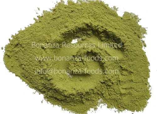 Factory supply Freeze Dried Green Bell Pepper Powder