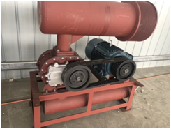 High Pressure 220V Roots Air Blower Three Lobe Double Tank Rpm 700 - 2200 Speed