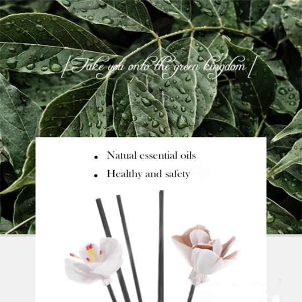 Wood Cap Reed Diffuser Sticks Glass Bottle Custom Fragrant Packaging Box