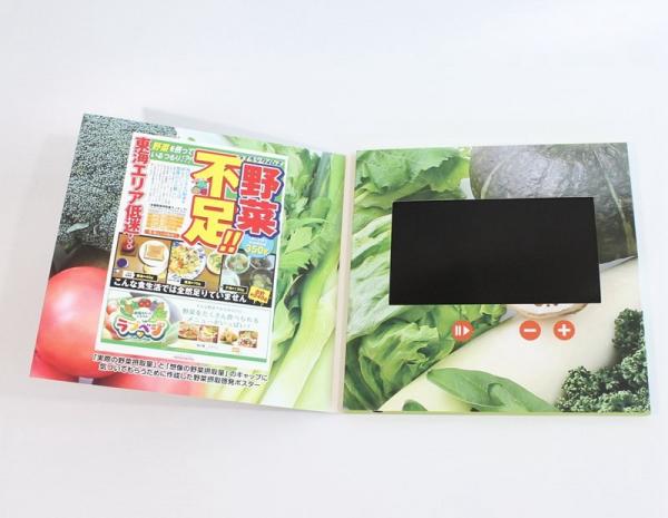 Large Screen Printing Paper Video Talking Card With Speaker 1000 - 10000m Ah Battery