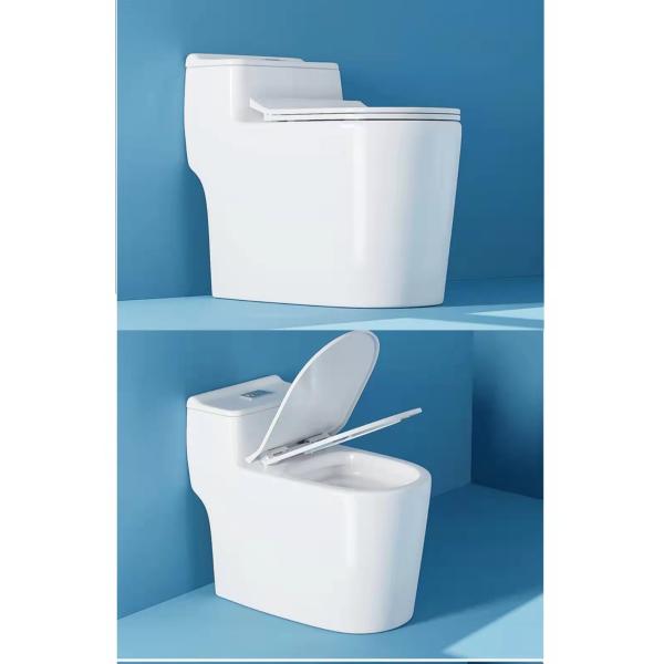 Porcelain Ceramic Wall Hung Toilet White Europe Style Bathroom with Buffer Cover Plate