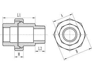 M/F And F/F Threaded Pipe Fittings Stainless Steel Street Unions SS304 BSP Thread