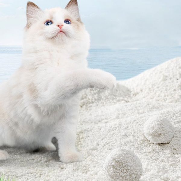 Fast Absorbing Cassava Cat Litter Delivering Effective Odor Control for Multi Cat Homes