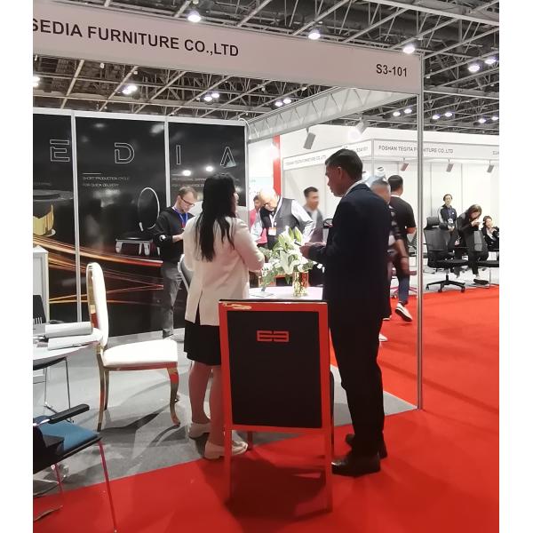 Foshan Sedia Furniture Co., Ltd