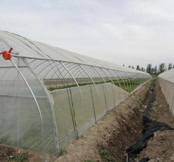 Anti-Drip Fogging Film Greenhouse for Flowers Temporary Heating Method Included