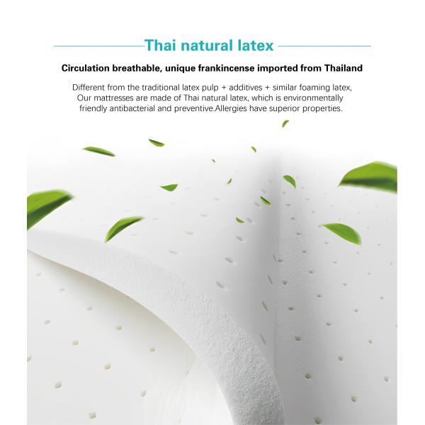 Transform Your Bedroom into a Sanctuary with Our Natural Home Furniture Mattress