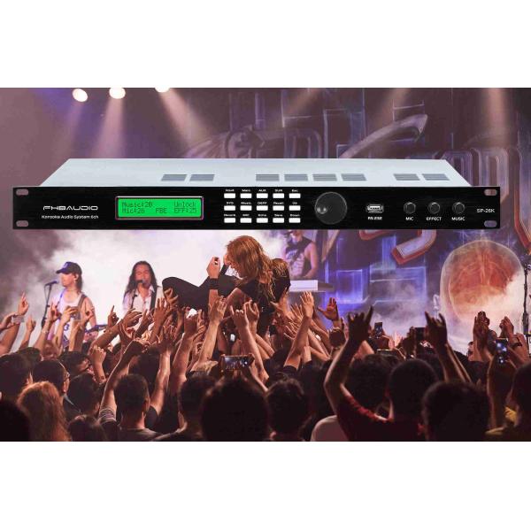 Dual-Core DSP Karaoke Vocal Processor Independent Professional With EQ KTV Karaoke