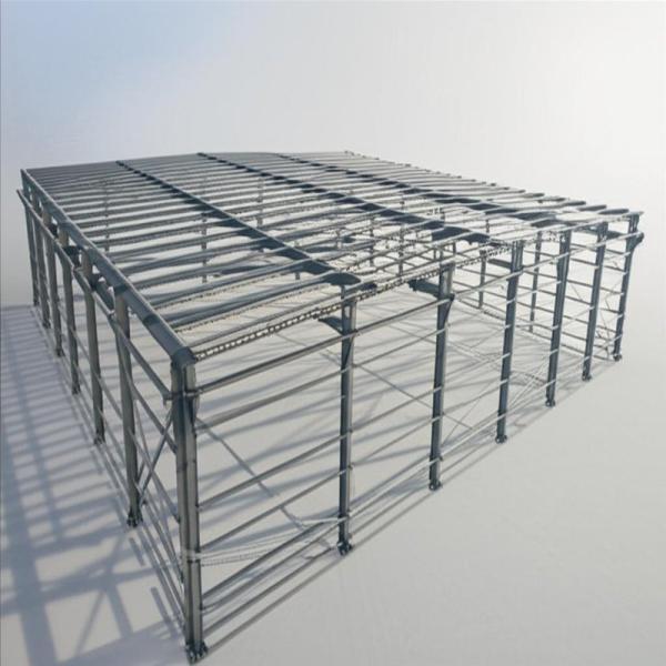 Online Guide Supported On-site Installed Steel Structure Building Strong