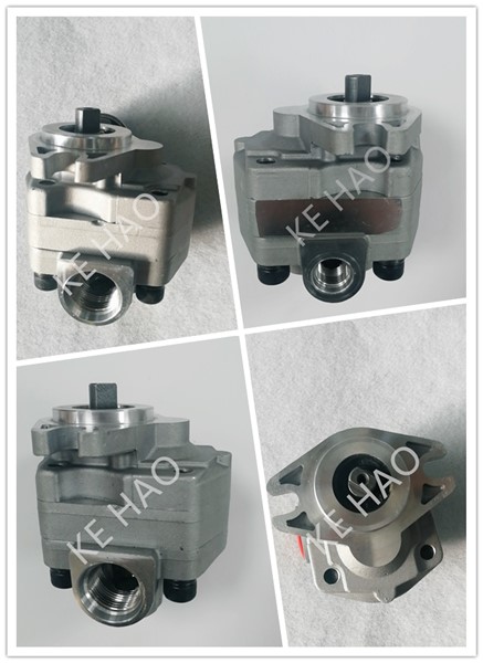 Preto material de aço de alta pressão médio hidráulico da bomba de engrenagem de E200B