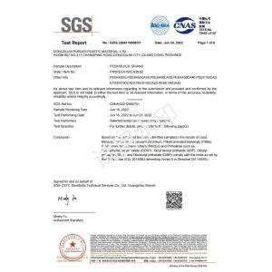 Dongguan Pruisi Plastic Materials Co., Ltd Certifications
