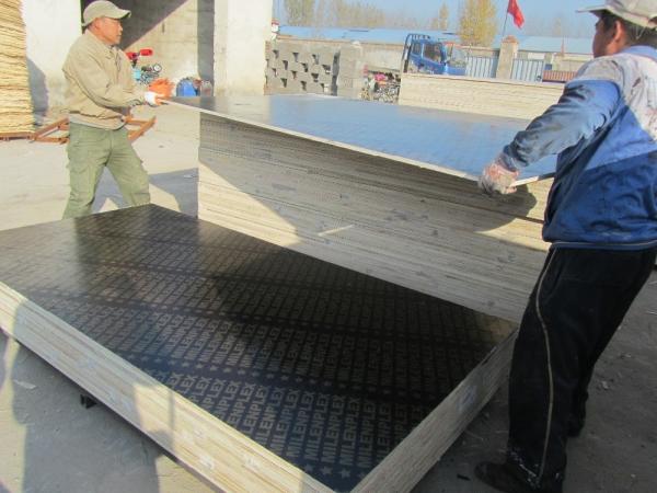 1220*2440* 18mm phenolic plastic film faced plywood, Linyi marine plywood to Middle East Market