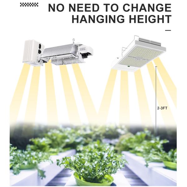 800W Foldable LED Grow Light Waterproof IP66 8 Bars Grow Lamp