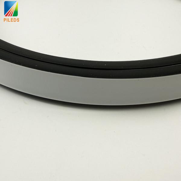 WS2811 SPI 12V/24V Addressable Custom Flexible Waterproof Black Silicone RGB LED Neon Light Strip Bars IP65 for Landscape