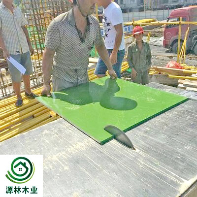 Eco Friendly Smooth Surface Plastic Coated Plywood Sheets Weather Resistance
