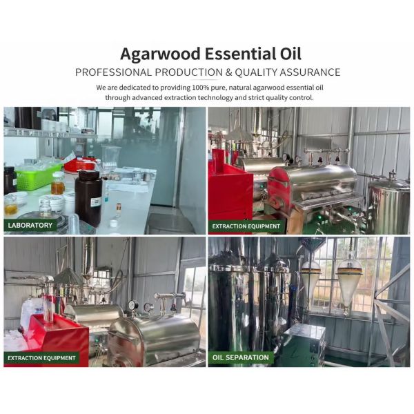 Ancient Water Distilled Fire Eye Slice Agarwood Oil Natural Pure Essential