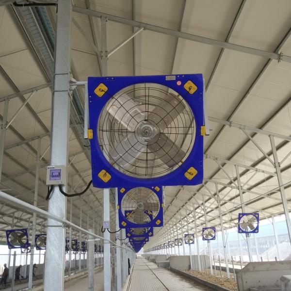 Livestock Ventilation Fans with High-Strength Double-Layer PE and 28273m³/h Max Airflow for Livestock Environments