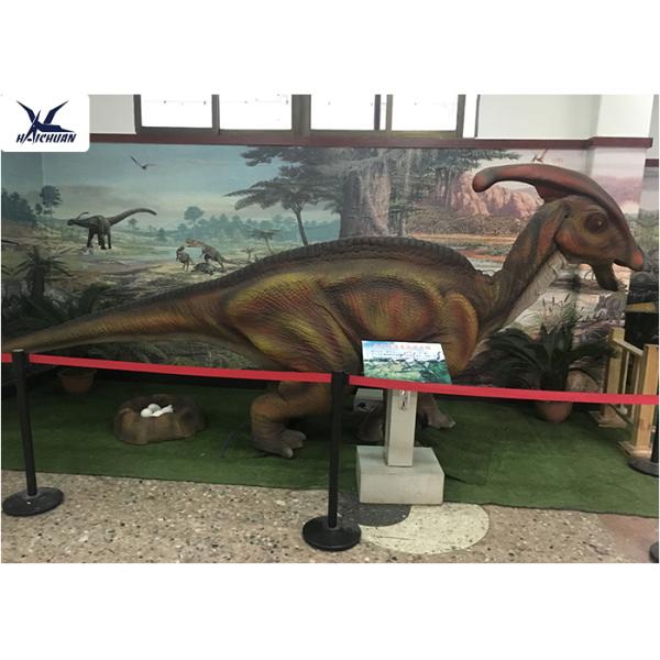 Indoor Realistic Dinosaur Models Walking / Laying Eggs / Fingers Moving