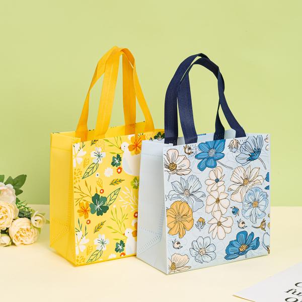 Newest Fashionable Recyclable Non-woven Grocery Bag With Logo for Medium-Sized Items