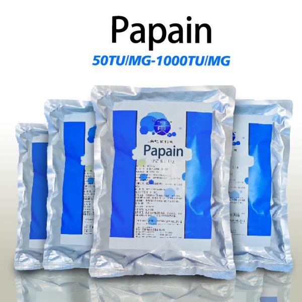 300USP-6000USP Enzyme de papaïne de la papaye FSSC22000 MUI Certification du système casher