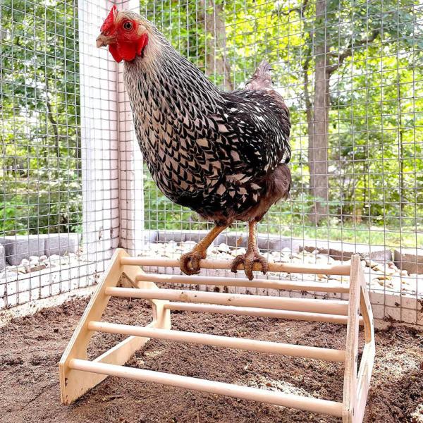 Gray Chick Perch Strong Wooden Jungle Gym Roosting Bar Chicken Toys for Coop and Brooder