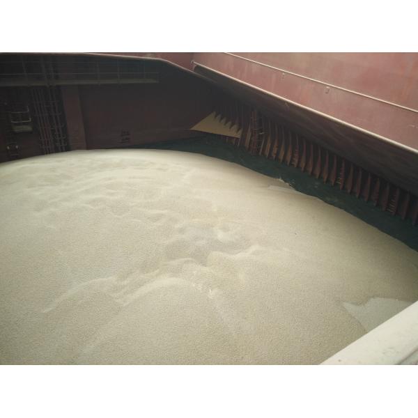 Pure Wheat Gluten Pellet for Aquaculture Feedstuf Nutrition Enhancers