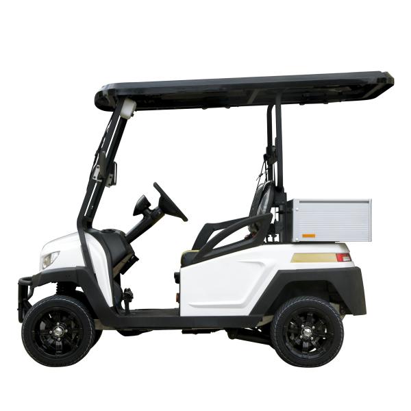4 Seats Mini Electric Golf Car Buggy Car Utility Carts Hotel Buggy Car Club Car