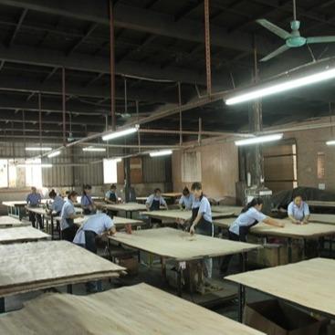 Customized Service Engineered Wood Veneer Lengthened Size 3100mm GBE-X7018L