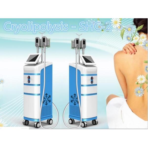 best selling fat freezing vacuum slimming beauty machine/vibration slimming machine