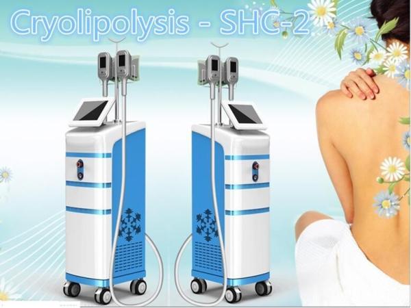 best selling fat freezing vacuum slimming beauty machine/vibration slimming machine