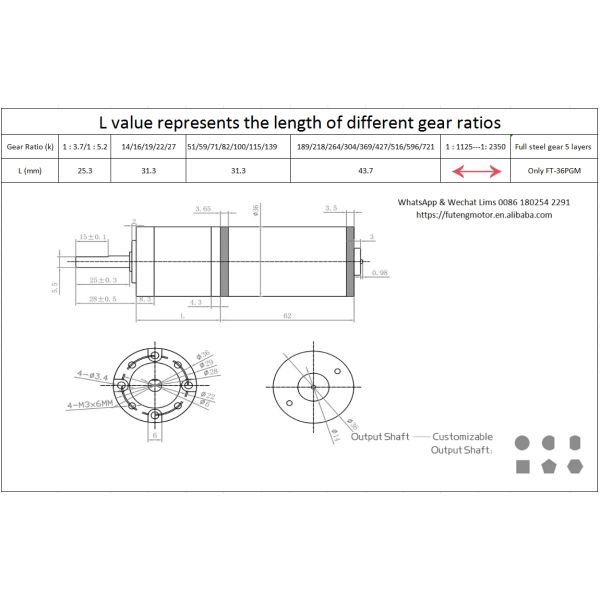 FT-36PGM36ZY 12V 24V Planetary Gear Motors