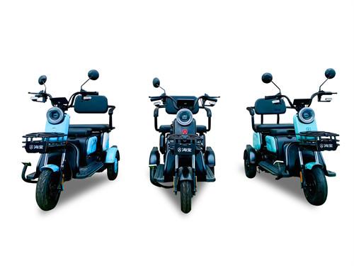 Convenient Leisure Electric Tricycle 600W Leisure Tricycle Electric Bike
