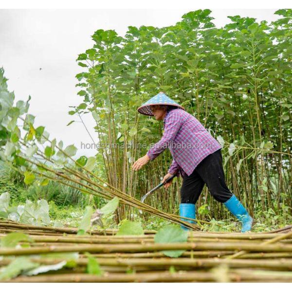 Farmer Hemp Jute Peeling Machine , Ramie Sisal Fiber Extraction Machine