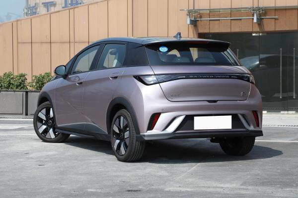 BYD Dolphin Electric Car Durable 405KM Range 5 Seater Electric SUV