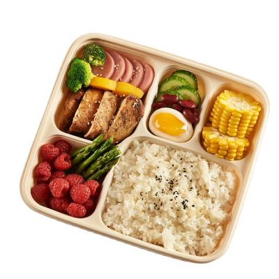 Custom PLA Disposable Divided Container 3 / 4 / 5 / 6 Compartment