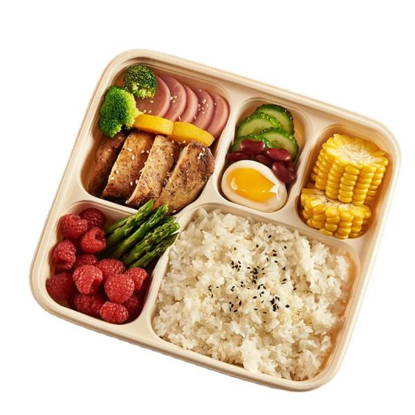 Custom PLA Disposable Divided Container 3 / 4 / 5 / 6 Compartment