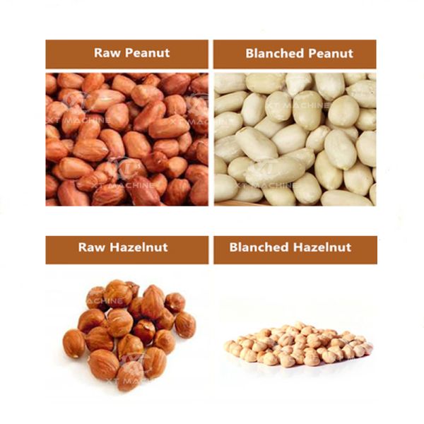 220V/380V Automatic Peanut Hazelnut Peeling Machine 2000KG/H