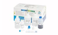 Equipo de prueba de ADN de esperma SCD para el nivel de fragmentación de ADN de determinación en espermatozoides