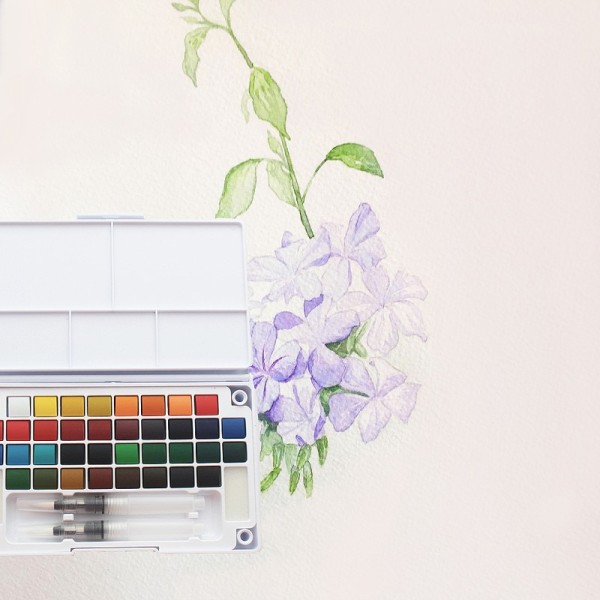 36 Colours wholesale non-toxic OEM watercolor painting supplies water colour paint set