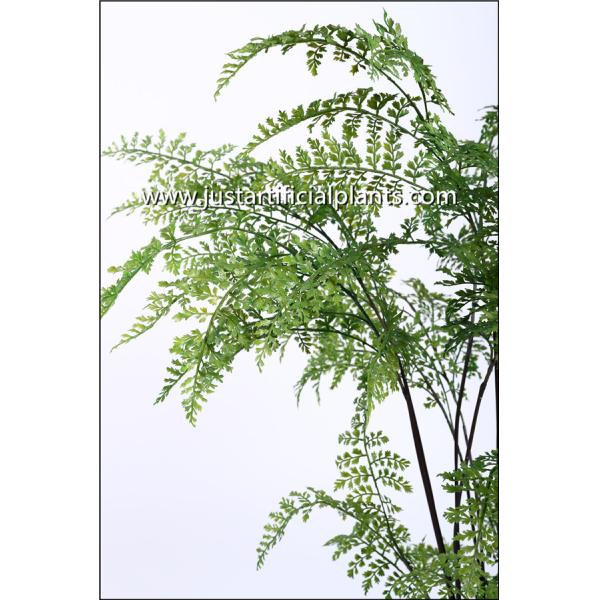 Размер тропической искусственной на открытом воздухе пальмы папоротников экологический подгонянный