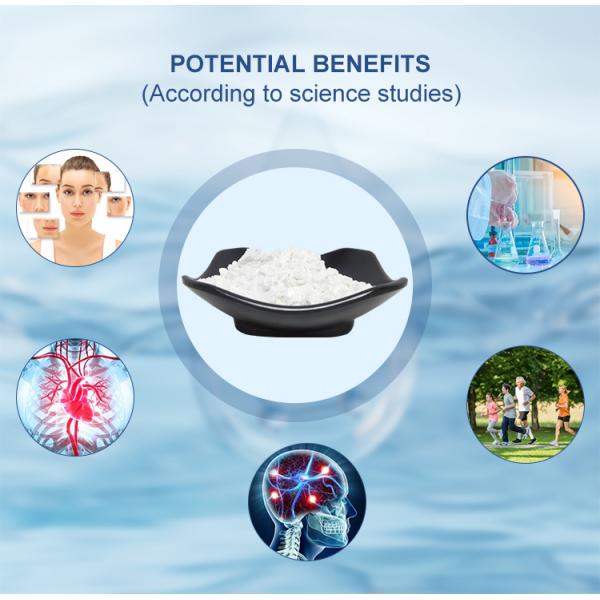 Best Natural Plant Extract Anti-Oxidant Pterostilbene Powder 99% Pterostilbene Similar to Resveratrol Fisetin