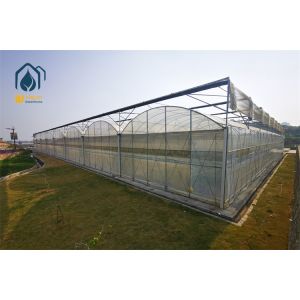 Multi Span Greenhouse For Modern Garden Hydroponic System Cultivation