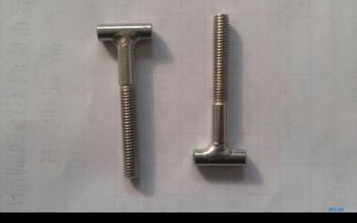 T-BOLT C45 cold forging process T bolts Fe/Zn-Fe8P4 automobile industry  accessories
