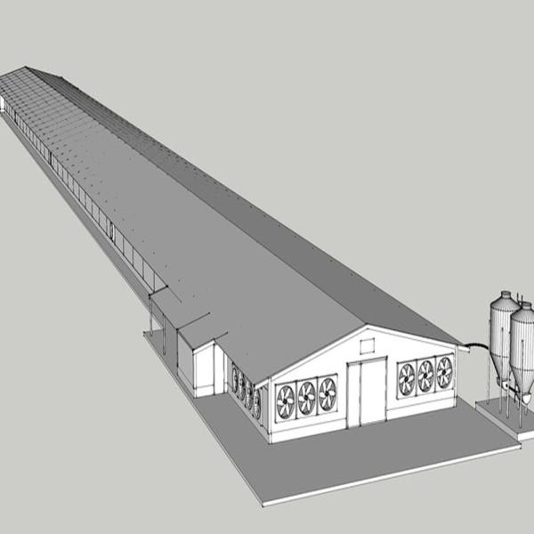 Edificio de construcción de acero moderno de larga envergadura Casa de aves prefabricada de alta capacidad