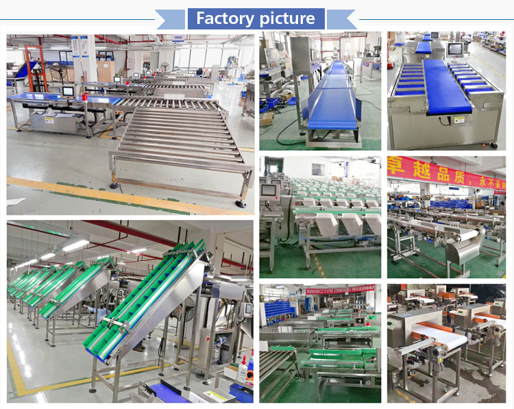 Vertical Aquaculture Fish Conveyor Belt Check Weigher Sorting Fruit &Vegetable Olive Grading for Sale Tilapia Grading Machine