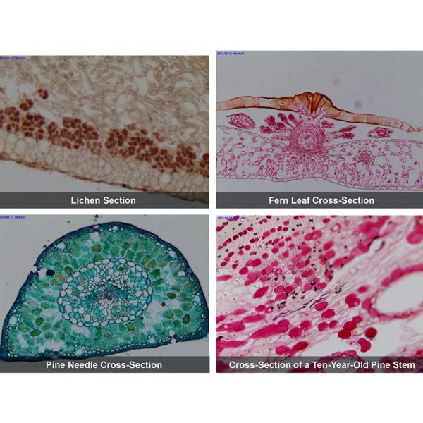 USB 2.0 Digital Camera Microscope Microscope Accessories A59.2208