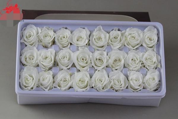 Wholesale real preserved rose stabilized natural preserved fresh flowers for Valentines day