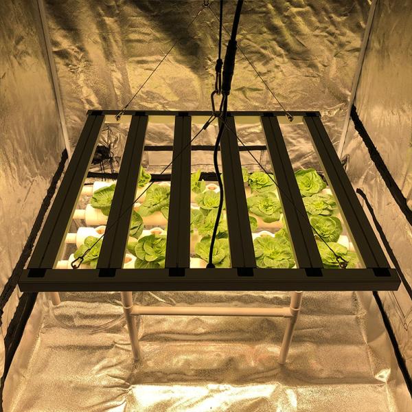 35 Centigrade Horticulture Led Grow Lights 480W 6 Pillar 2.6μMol/J Lights Bar