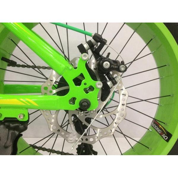Private Label Snow Sand 4.0 Fat Tyre Electric Bicycle