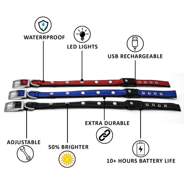 УСБ перезаряжаемые делает освещенное яркое водостойким воротников собаки супер для безопасности видимости ночи