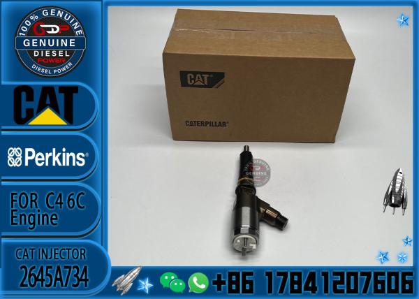 Injetor de combustível de trens comuns 306-9380 Assemblagem de injetor de combustível 320-0680 2645A747 2645A734 Para motores CAT C6.6 C4.4